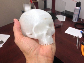 insan kafatası heykeller 3d print model - Mito3D