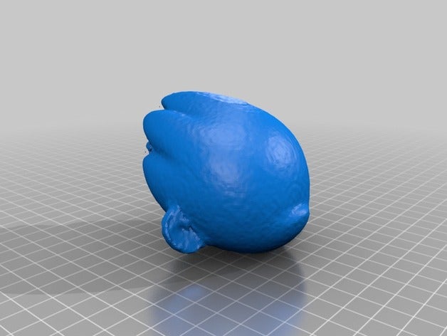 foomi tête ménage makerbotdigitizer scan 3D print model - Mito3D