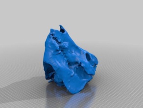 domuz kafatası sense3d tarama hayvanlar etli 3d print model - Mito3D