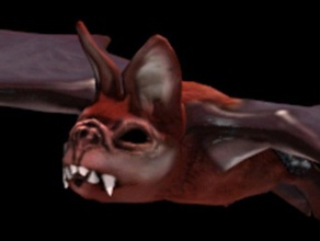 zbrush morcego esculturas a arte jogo assustador 3d print model - Mito3D