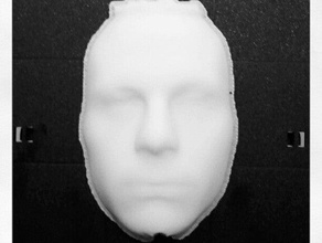 face scan scans replicas blender head scanned 3d print model - Mito3D