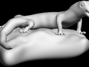 gecko hayvanlar 3d print model - Mito3D