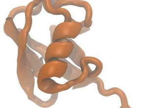 ubiquitin biyoloji model protein 3d print model - Mito3D