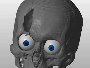 csi style skull created ct scan images biology body bones mri people skeloton 3d print model - Mito3D