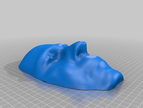 face slab people 3d print model - Mito3D