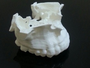 en el maxilar superior biología 3d print model - Mito3D