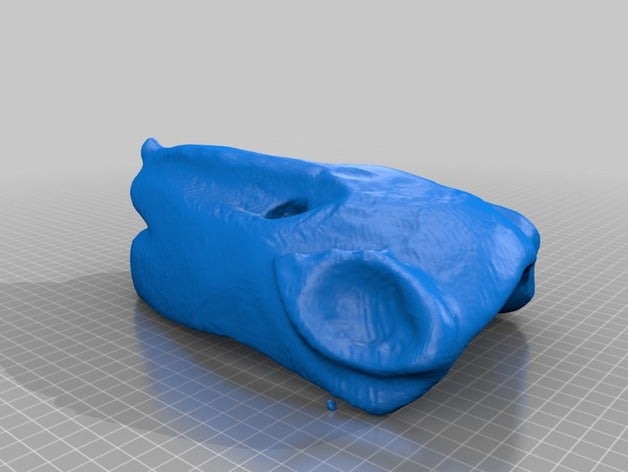 la maschera le scansioni repliche makerbotdigitizer 3D print model - Mito3D