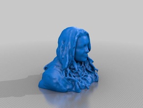 photobooth altri scan 2 3d print model - Mito3D