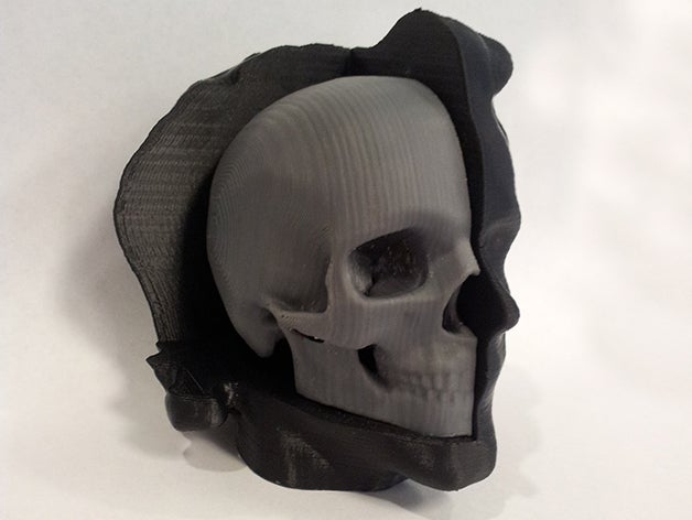 cabeça de corte do crânio biologia anatomia seção transversal 3D print model - Mito3D