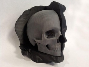 head cut-away skull biology anatomy cross section cutaway 3d print model - Mito3D