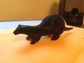 ferret model animals 3d print model - Mito3D