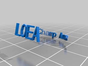 loea champ ring 10 rings customized 3d print model - Mito3D