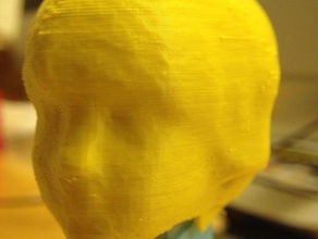 alexs pez cabeza personas reconstructme 3d print model - Mito3D