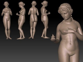 antik Venüs Heykeli tarar kopyaları 3d artbytes blatt direkt boyutları lazer tarayıcı çıplak shapeshot tblatt walters kadın 3d print model - Mito3D