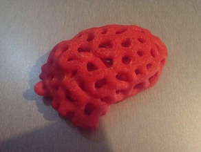 anatomical heart voronoi style scans replicas coral real 3d print model - Mito3D