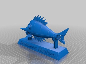 acermanus nautilae Skulpturen onsuchafullsea 3d print model - Mito3D