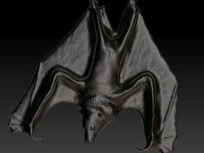 fruit bat pendant jewelry 3d print model - Mito3D