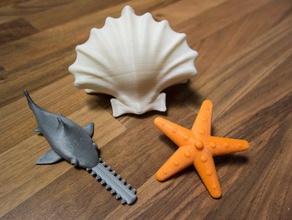 girando o brinquedo estrela-do-mar-serra marisco mecânico brinquedos molusco kreisel onsuchafullsea vi-peixe vieira mar de estrelas shell-peixe pião 3d print model - Mito3D