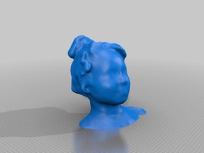 shurz chicago cps scansioni persone 3d print model - Mito3D