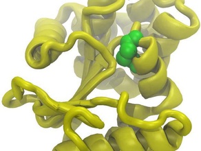 legame disolfuro isomerasi dsba biologia modello proteina 3d print model - Mito3D