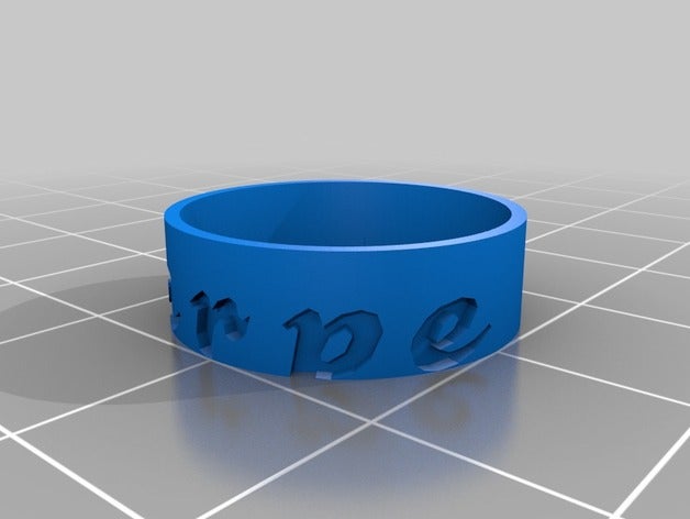 carpe diem ring Ringe angepasst 3D print model - Mito3D