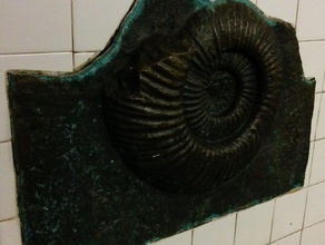 ammonite fossile scultura le scansioni repliche 3d print model - Mito3D