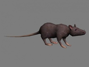 rat attack 3d printer accessories rats 3d print model - Mito3D