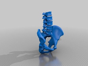 vértebras lombares multi material pessoas 3d print model - Mito3D