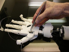 inmoov robot dönme bilek Robotik 3d dokunun arduino bfb el printbot protez servo 3d print model - Mito3D