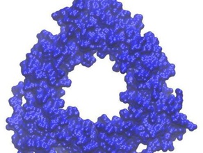 t4 bakteriyofaj kelepçe gp45 biyoloji dna clamp replikasyonu model protein 3d print model - Mito3D