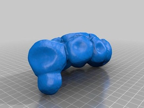 alli sanzone le scansioni repliche makerbotdigitizer 3d print model - Mito3D