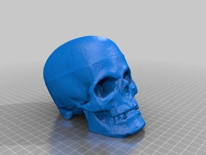 theskull durchsucht Replikate fablablance halloween haunted house Kopf makerbotdigitizer Skelett 3d print model - Mito3D