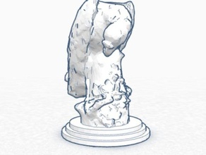 Kral akbaba tarar kopyaları 3d print model - Mito3D