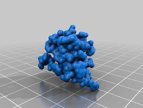 insulin 9ins molecule biology 3d print model - Mito3D