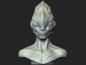 mar senhora do busto esculturas 3d print model - Mito3D
