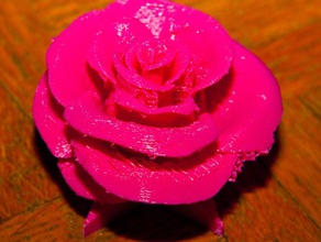 rose edelweiss cor-de-rosa decoração bela rosa nenhuma besteira roos textless 3d print model - Mito3D