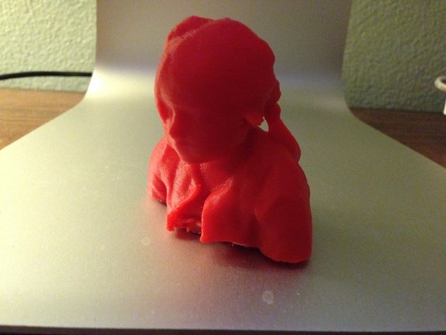 3d-scan Modelle 3D print model - Mito3D