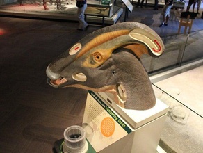 ördek bill tarar kopyaları 123dcatch yakalandı alan Müzesi futuremuseum maske 3d print model - Mito3D