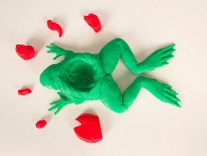 kurbağa diseksiyon seti öğrenme Akademi anatomi biyoloji müfredat 3d print model - Mito3D
