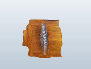 ornament 123d catch raw files zipincluding stl scans replicas fossil fossils ornaments shell shells 3d print model - Mito3D