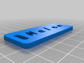 melão etiqueta de bagagem organização personalizado 3d print model - Mito3D