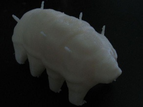 los tardígrados oso de agua biología 3d animal invertebrados modelo espacio 3d print model - Mito3D