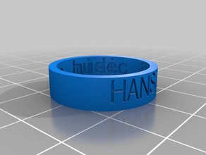 hanson 2 Ringe angepasst 3d print model - Mito3D