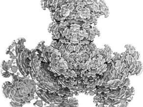 fraktal tetra bloom matematik hacimsel voxel 3d print model - Mito3D