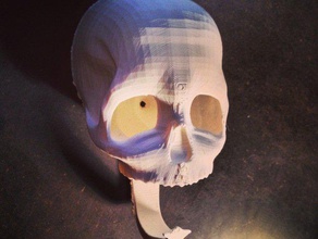 crâne détenteur de la clé organisation 3d print model - Mito3D