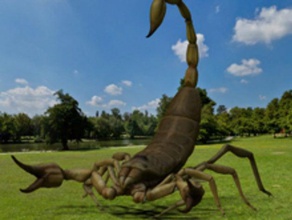 scorpion sculture figura insetto 3d print model - Mito3D