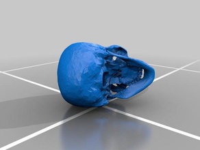 rcs skull people human 3d print model - Mito3D
