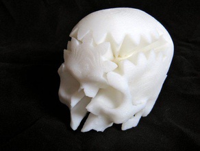 rotating skull gear interactive art anatomical mashup mechanical toy 3d print model - Mito3D