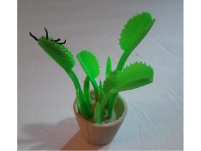 venus flytrap biology carnivorous plants fly trap 3d print model - Mito3D