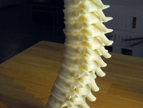 Wirbelsäule-Kerze-Halter Skulpturen Knochen harry potter Tee-Licht Wirbel 3d print model - Mito3D